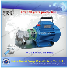 Portable gear oil pump